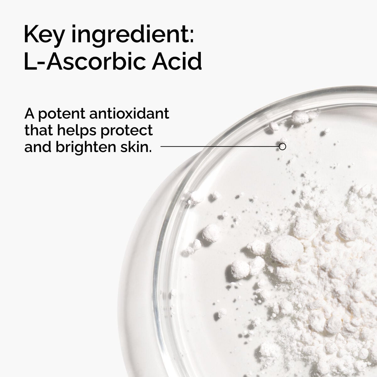 100-l-ascorbic-acid-powder-t7 FY25-D41247-ORD-Web-PDP-100-LAscb-Pwd-1x1-EN-2a.jpg