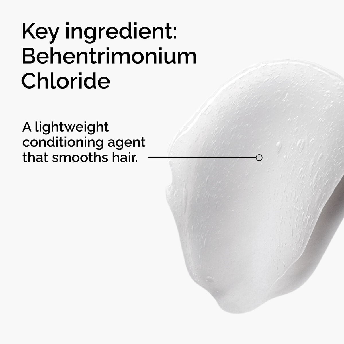 behentrimonium-chloride-2-conditioner-t5 FY25-D41247-ORD-Web-PDP-BTC-1x1-EN-2a.jpg