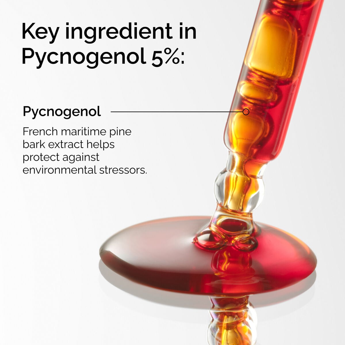 pycnogenol-5-p3 FY25-D41247-ORD-Web-PDP-Pyc-5pct-1x1-EN-2a.jpg