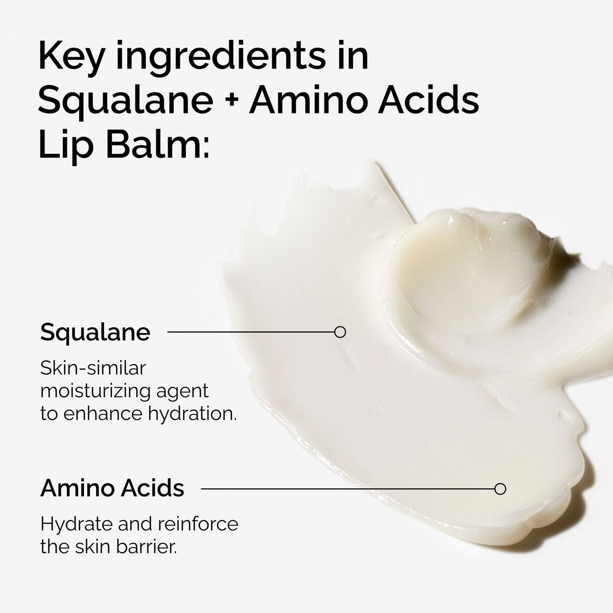 squalane-amino-acids-lip-balm-s8 FY25-D41247-ORD-Web-PDP-Sql-Amino-Lip-1x1-EN-2a.jpg